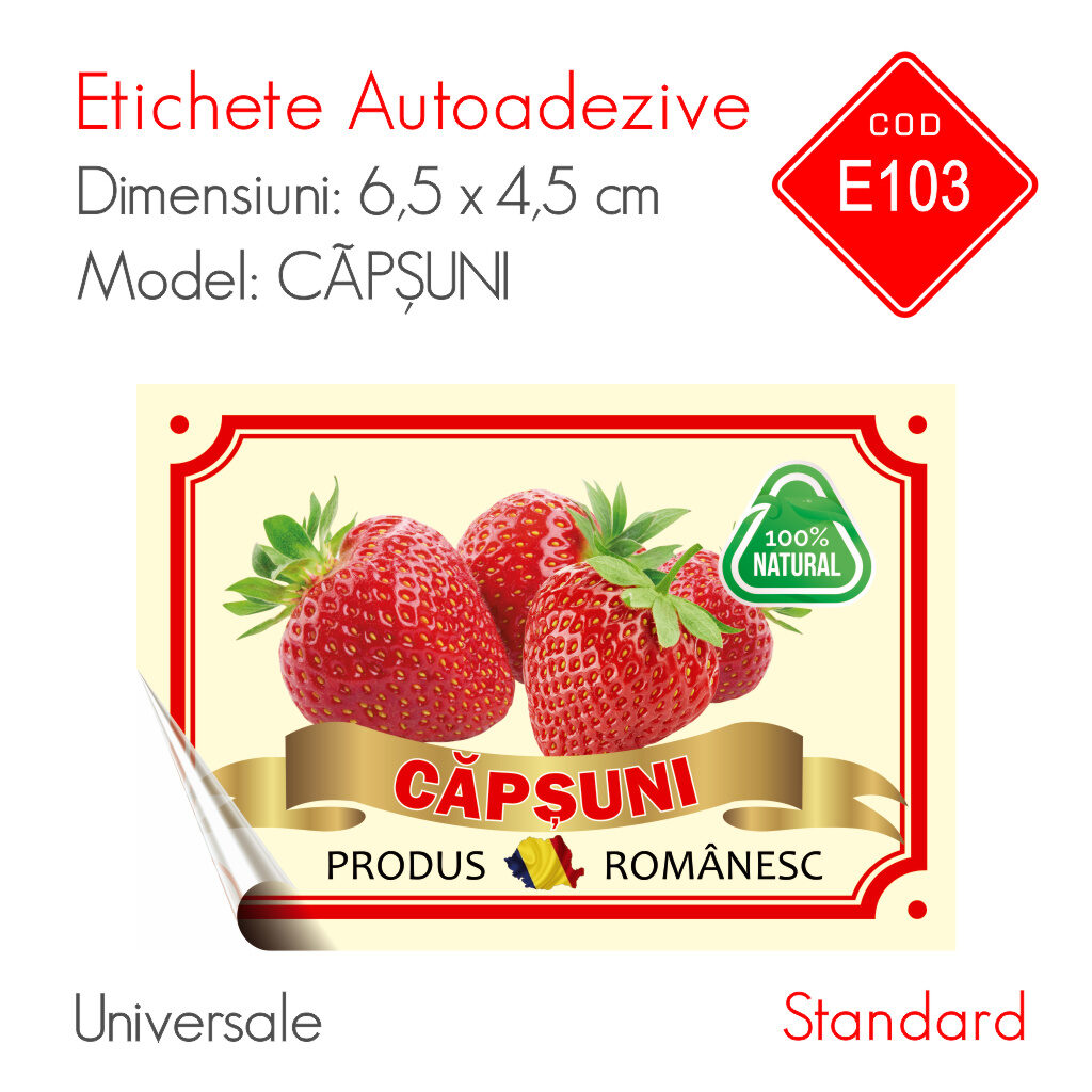 Etichete Căpșuni 65 x 45 mm Universale Color | Standard